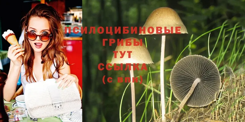 Галлюциногенные грибы MAGIC MUSHROOMS  Краснообск 